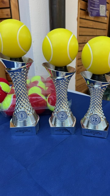 Kleinfeldtennis-Turnier